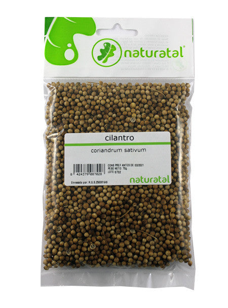 cilantro coriandrum sativum 70gr