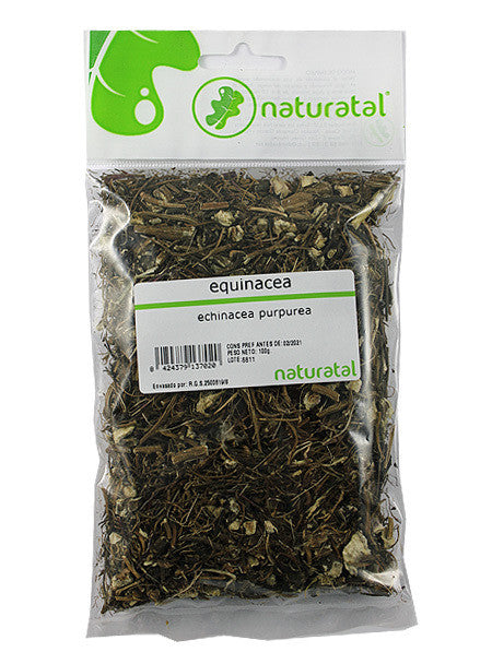 equinacea echinacea pupurea 100gr