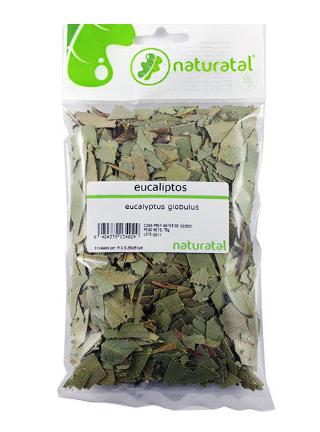 eucalipto hojas eucalyptus globulus 70gr