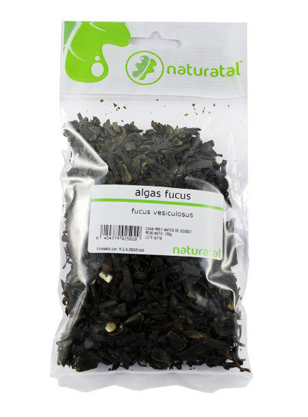 fucus fucus vesiculosus 100gr