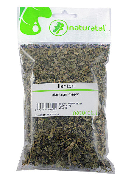 llanten plantago major 50gr