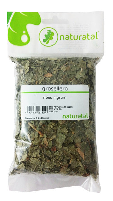 grosellero ribes hoja trit 50gr