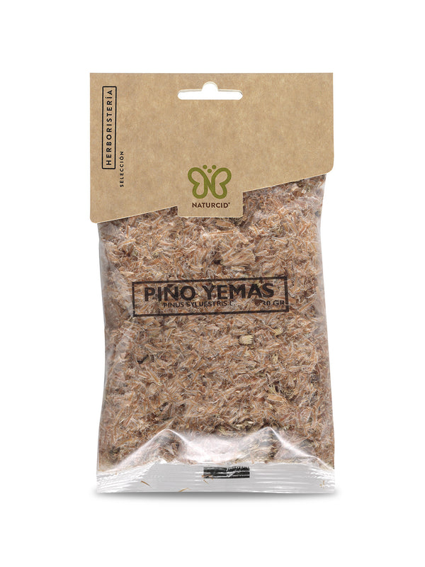 pino yemas b 40 gr