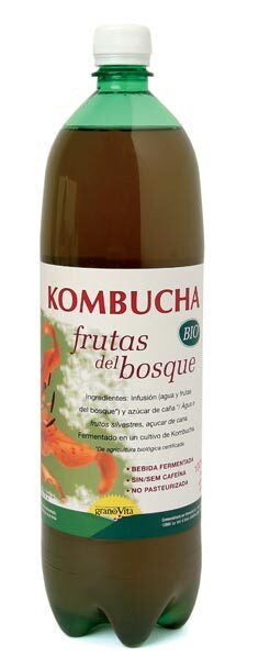 refrig te kombucha frutas del bosque bio 15l