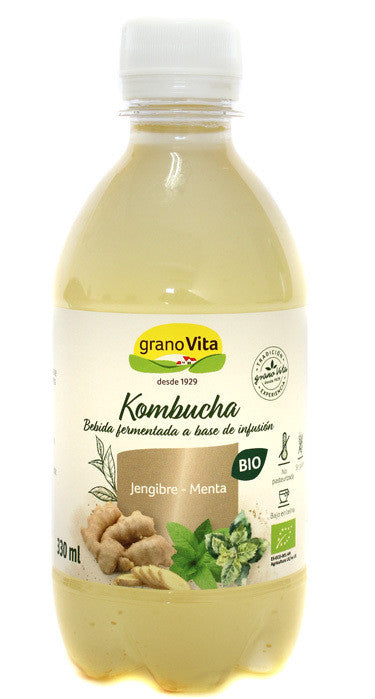 refrig te kombucha jengibre menta bio 330 ml